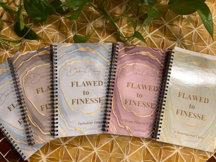 My First Series of Booklets:  FLAWED to FINESS by Debra Grady