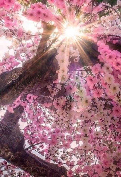 What to do in this crazy time of chaos. 