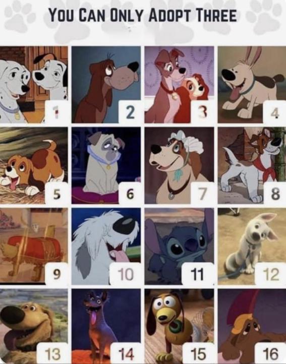Disney dogs! 