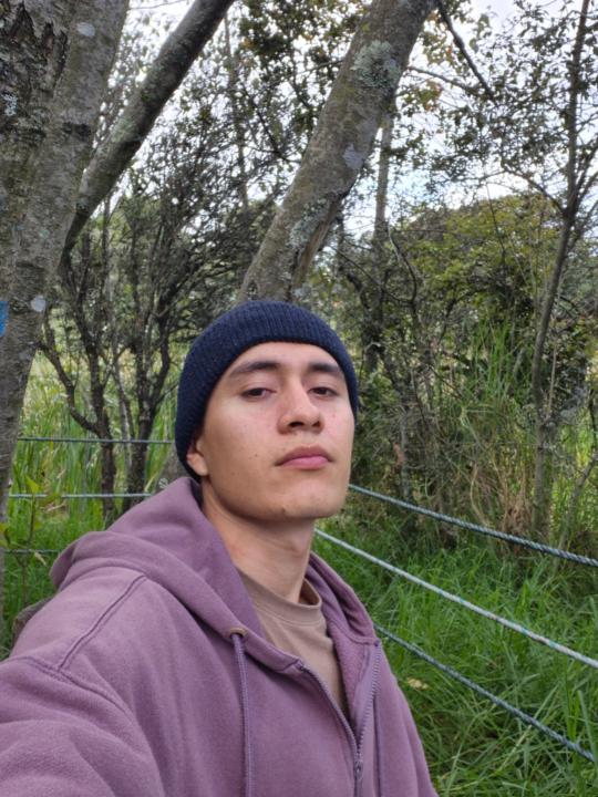 Brayan Vivas
