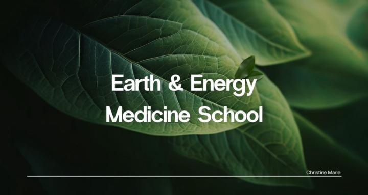 Earth & Energy Medicine School