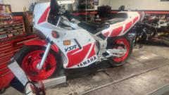 Luis carlos Mendez saborio