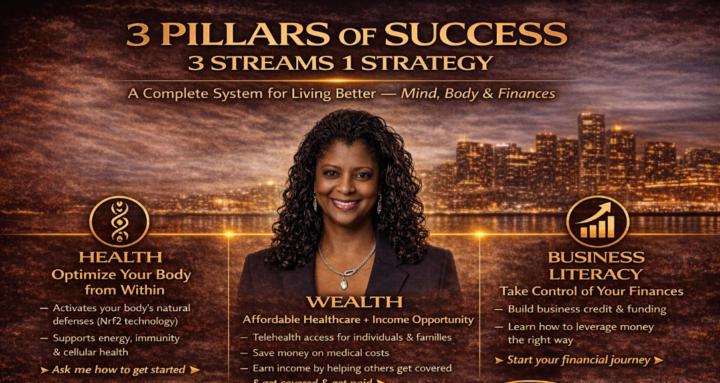 Biz Flow Connect