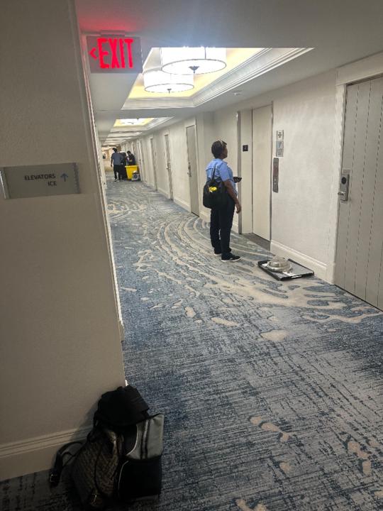 Ernest Marie Guerlande