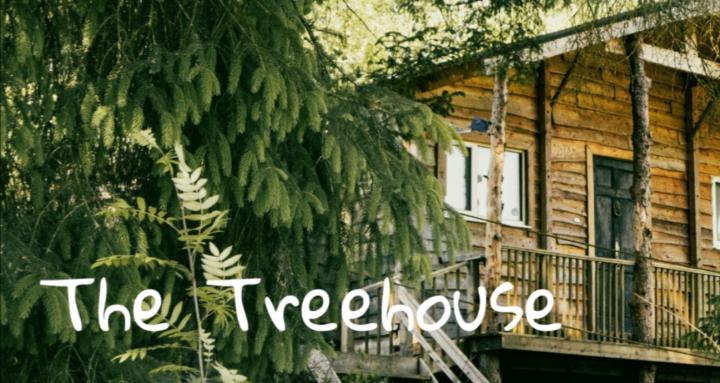 The Treehouse