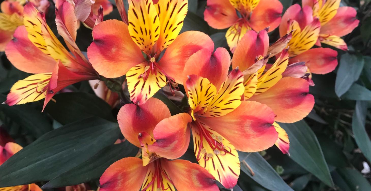 Are You Part of The Parts Revolution?