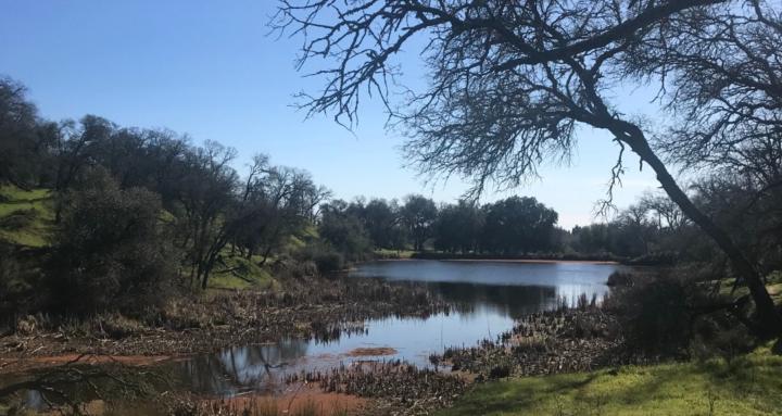 Mindbody Mystic Miracles 🧠🙏✨