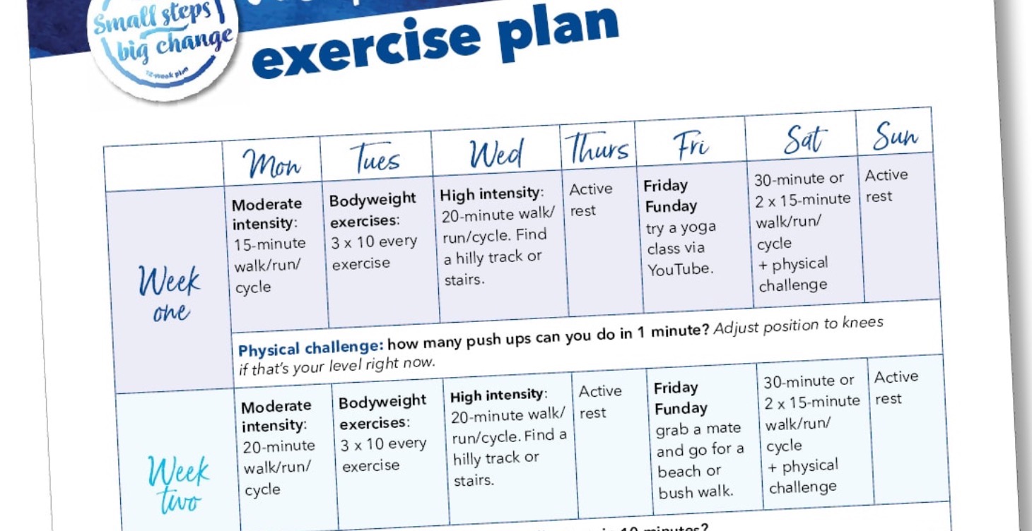 12 week comprehensive maintenance program