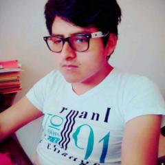 Edmen Alexander Quispe Mamani
