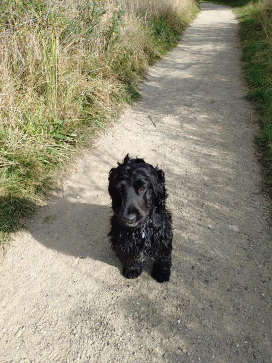 Tina Reinholdt Højme