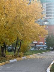 Naranzul Mungunbaatar