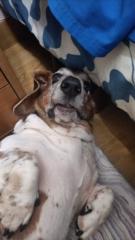 Anyelo Ramirez Serna