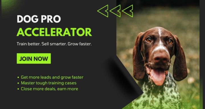 Dog Pro Accelerator