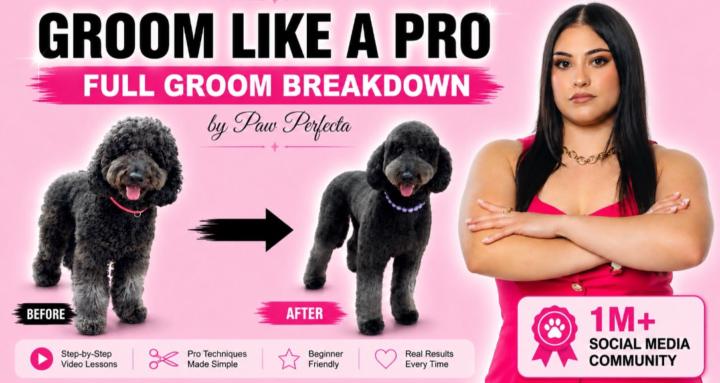 Pet Grooming Academy