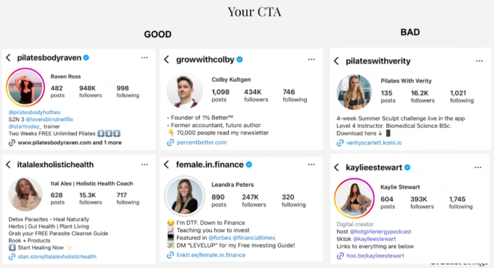 Examples of Good and Bad Bios in IG