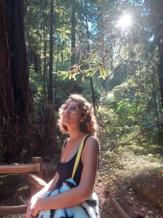 Mercedes Alvarez ceballos