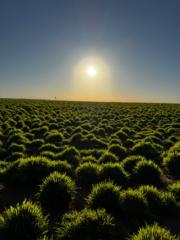 Leo carlos Michel filho