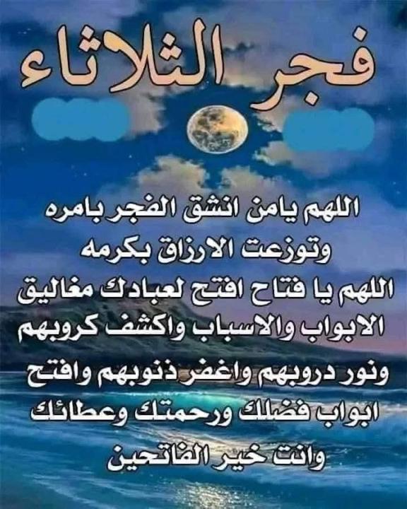 Safa Oueida