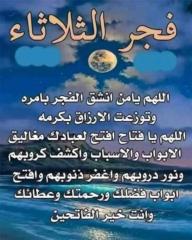Safa Oueida