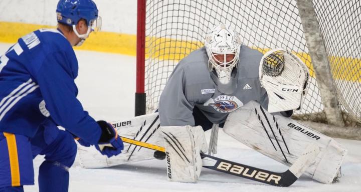 Vilardo Goaltending
