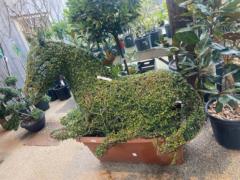 Yolanda Saez Castello