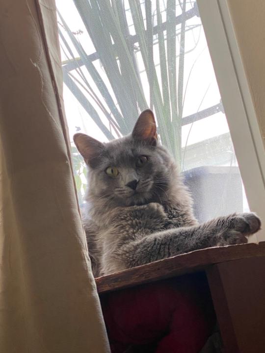 Marco Quitzé Estrada Romero