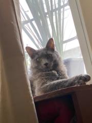 Marco Quitzé Estrada Romero