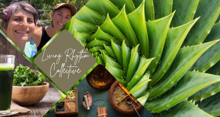 Living Rhythm Collective