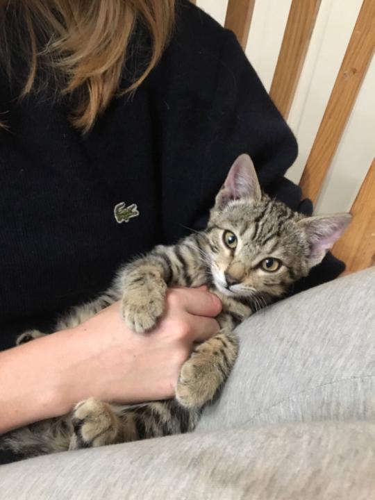 Celeste Orvain-Mason