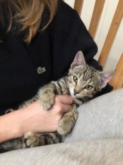 Celeste Orvain-Mason