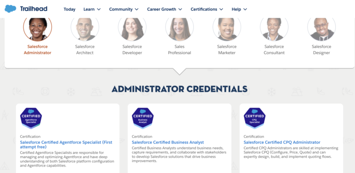 Salesforce Admin Roles