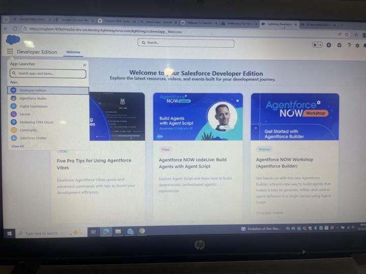 How my developer org look like 