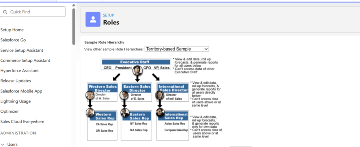 Your organisation's Role Hierarchy