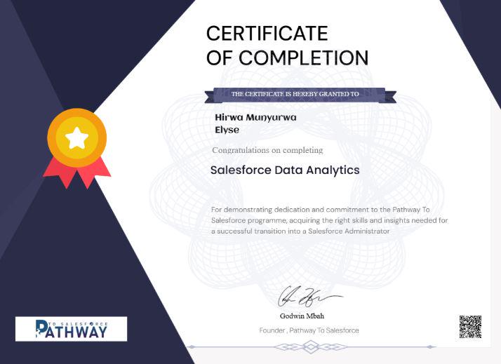 Data Analyst Certificate