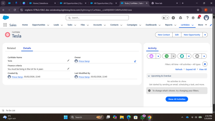 Successful creation of custom object, records and fields