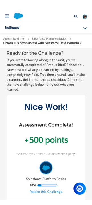 Salesforce Platform Basics 