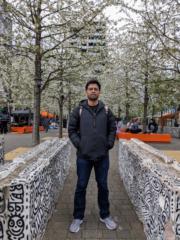 Parag P
