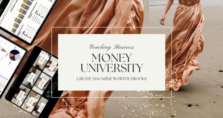 Money University