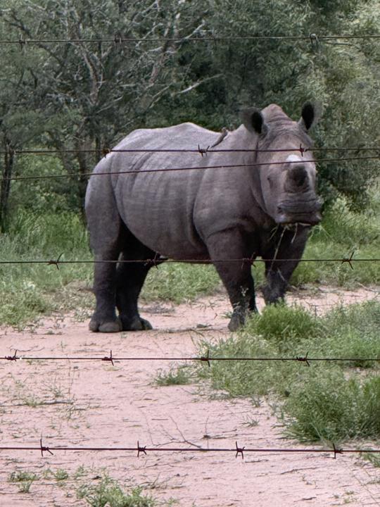 What do you do to rest?