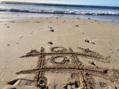 Amanda Bogard-Wilson