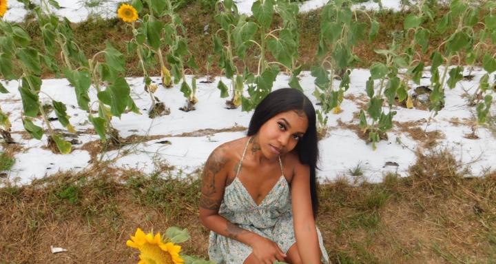 The Higher Frequency Academy