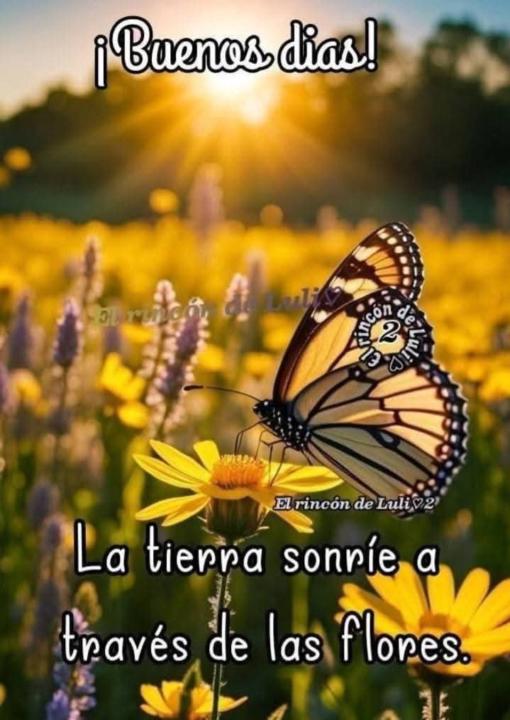 José Miguel Salvado