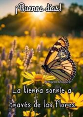 José Miguel Salvado