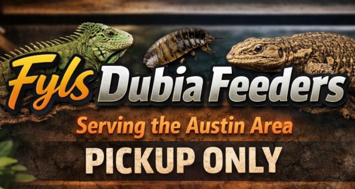 Fyls Dubia Feeders