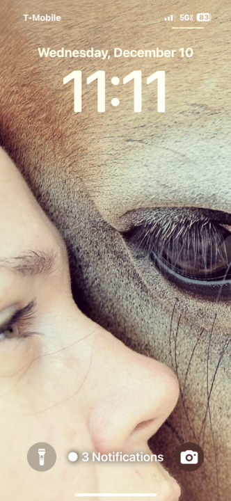 Let’s s get to know each other 🐴😊