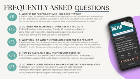 The PLR Project gallery image