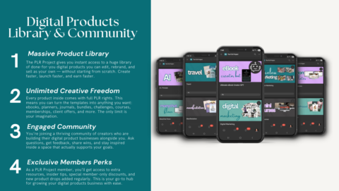 The PLR Project gallery image