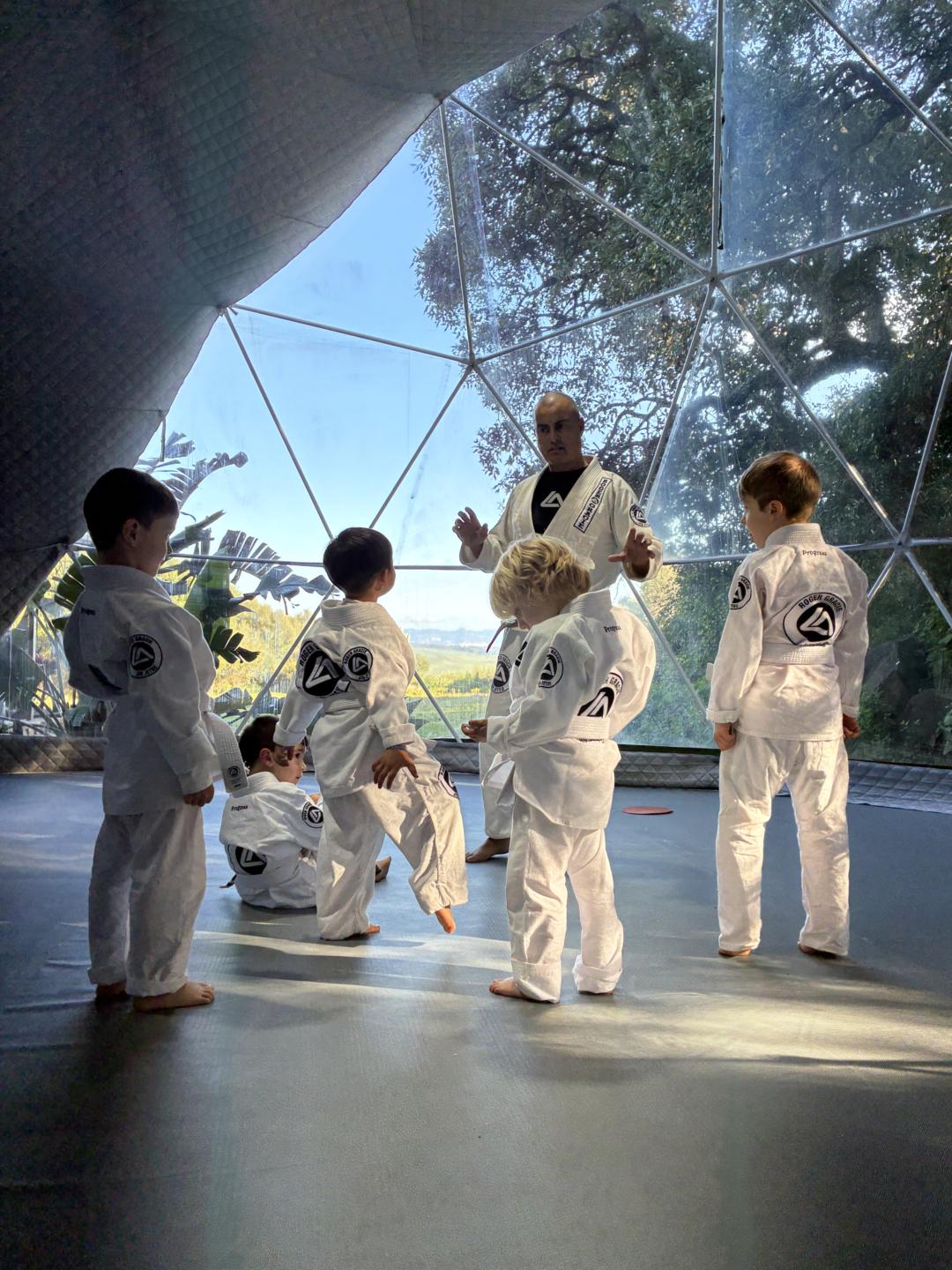 BJJ en Español