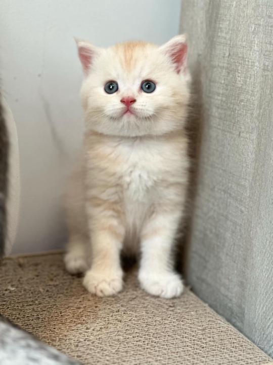 Baranee Na bangchang