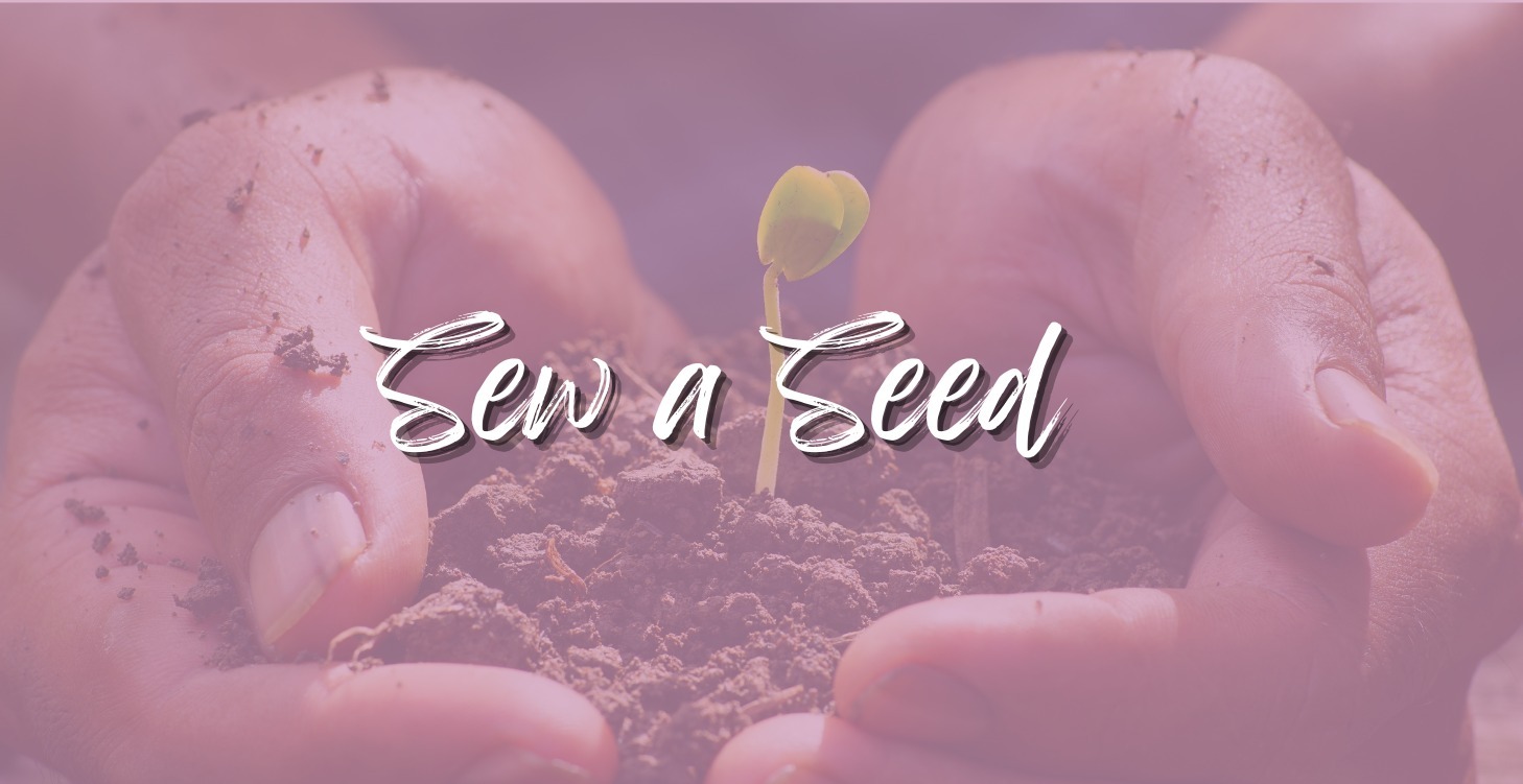 Sew a Seed